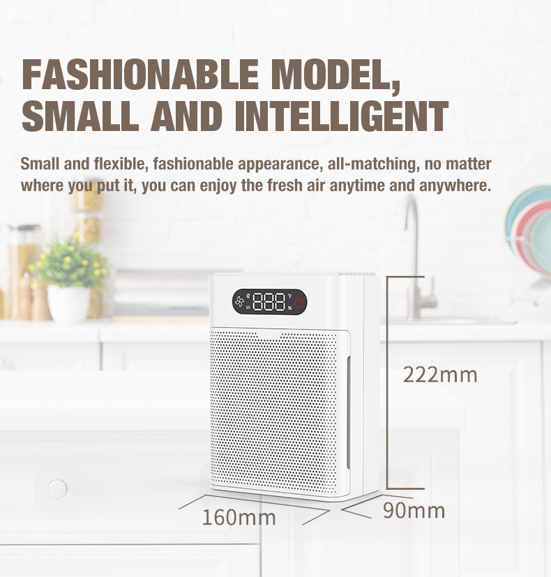 OLANSI A1 لتنقية الهواء المورد (3)