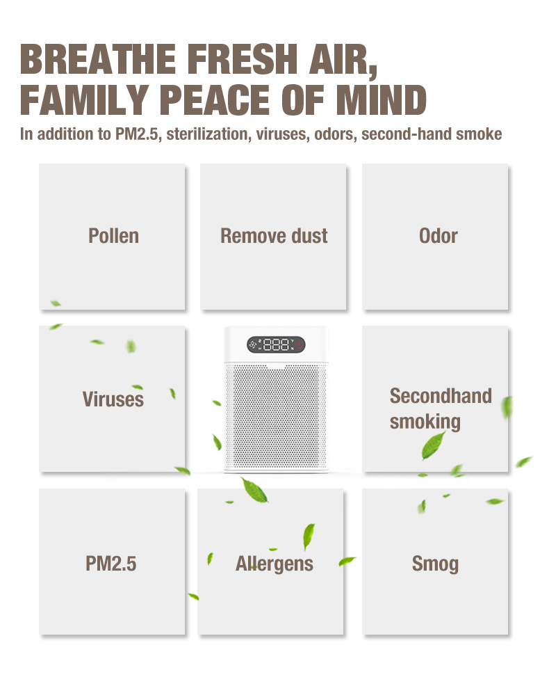 OLANSI A1 لتنقية الهواء المورد (6)